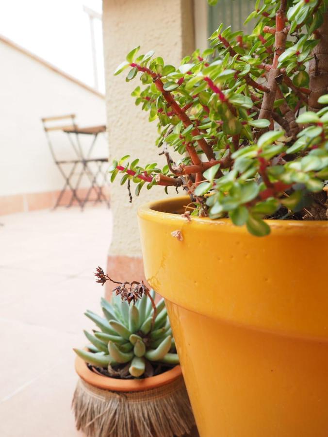 Apartaments la Rambla - Esperó de Bolós - 4 pers Cornudella de Montsant Exterior foto